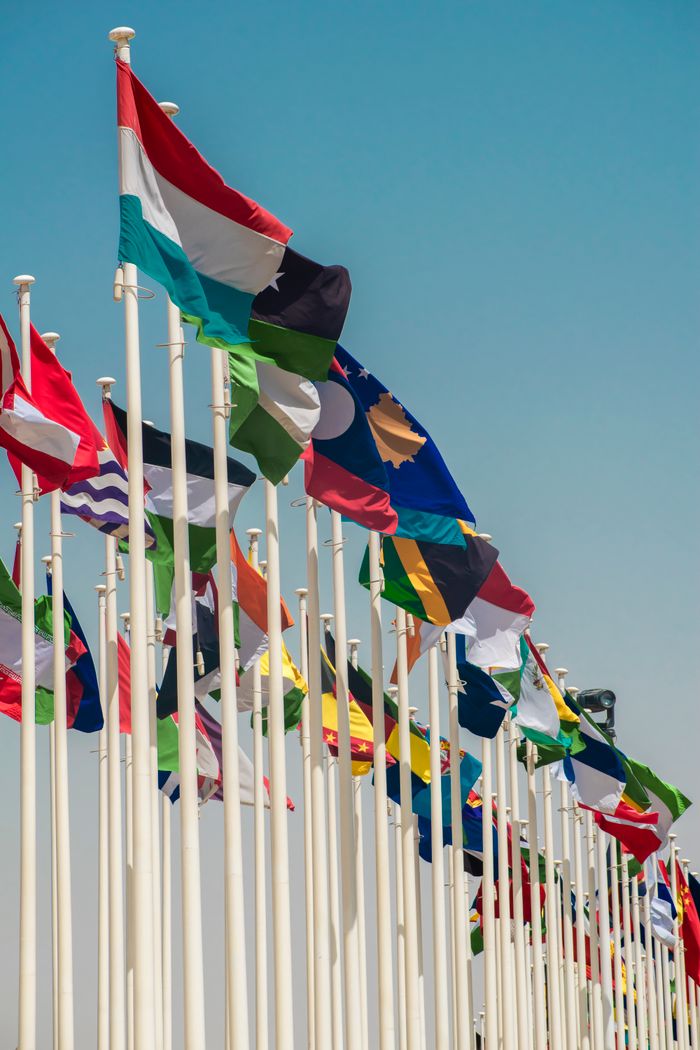A variety of international flags waving on flagpoles under a clear blue sky.